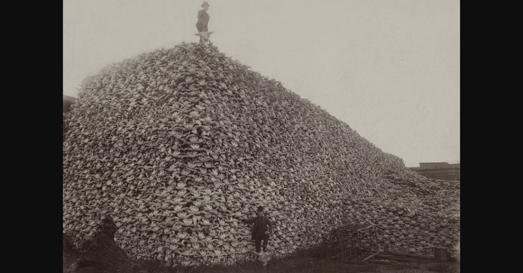 As The Lights Go Out In&nbsp;Gaza