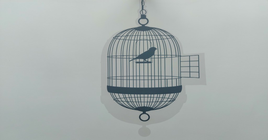 You Only Need To Cage A Bird If It Knows That It Can&nbsp;Fly