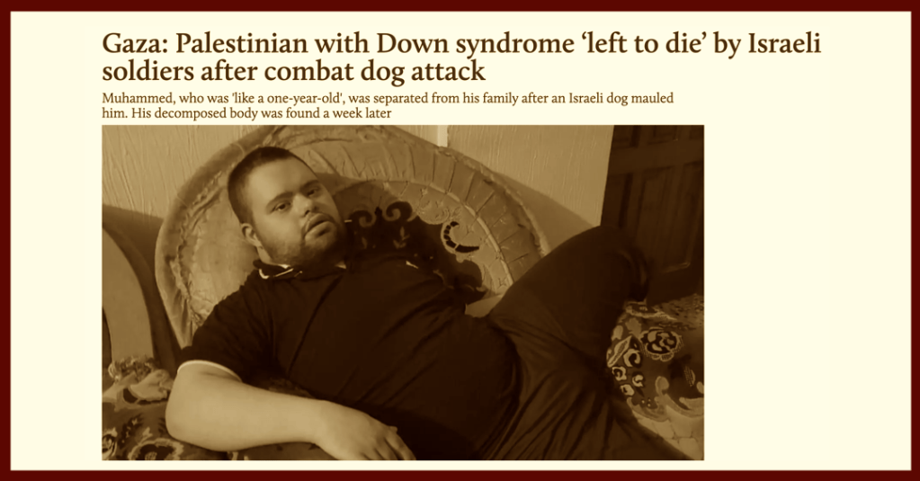 He Called The Dog&nbsp;Habibi