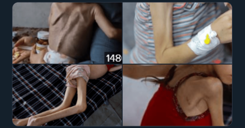 Know Them By Their&nbsp;Fruits