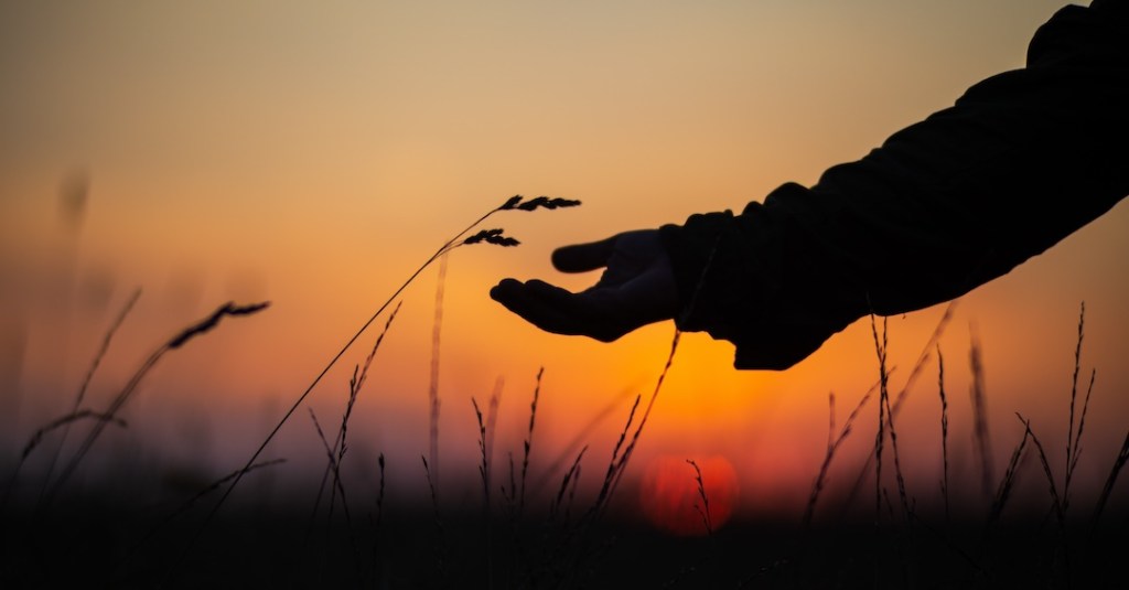 Let Your Love For This World Fill You With Joy And Compel You To&nbsp;Action